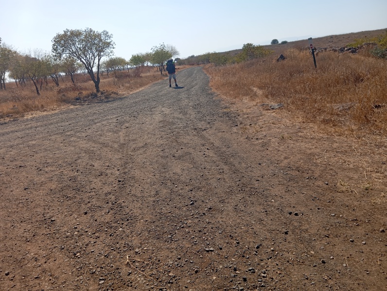 קובץ:2025-08-18T16 00 35.16441646502.jpg