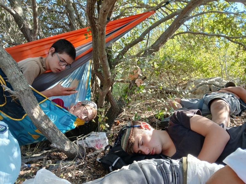 קובץ:2025-08-18T16 33 16.112476150307.jpg