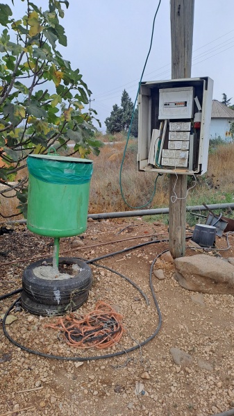 קובץ:2025-08-19T07 52 07.120771637044.jpg