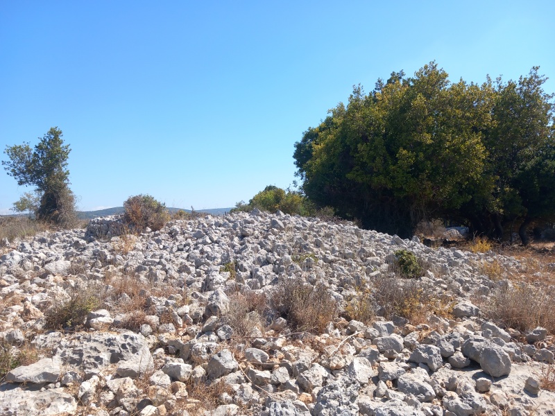 קובץ:2025-08-19T10 20 47.496127810826.jpg