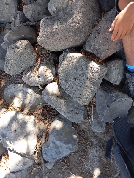 קובץ:2025-08-19T11 23 32.729584583151.jpg