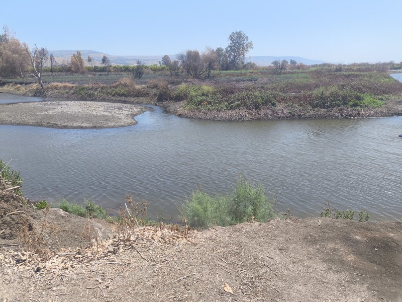 קובץ:2025-08-19T13 09 22.523852363361.jpg