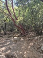 תמונה ממוזערת לגרסה מתאריך 12:04, 19 באוגוסט 2025