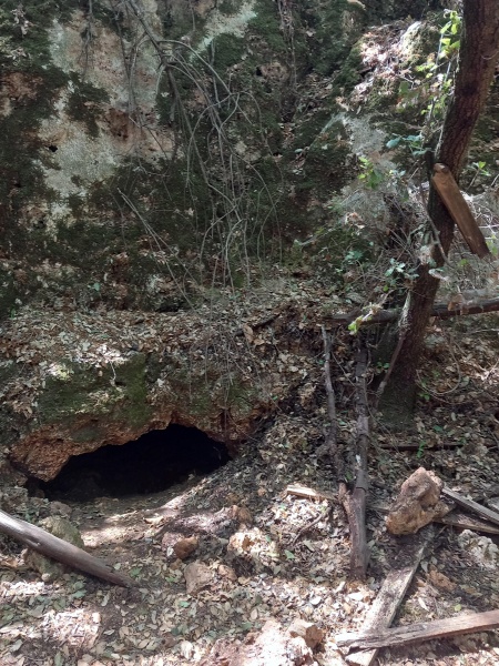 קובץ:2025-08-19T14 09 06.504172184173.jpg