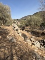 תמונה ממוזערת לגרסה מתאריך 14:14, 19 באוגוסט 2025