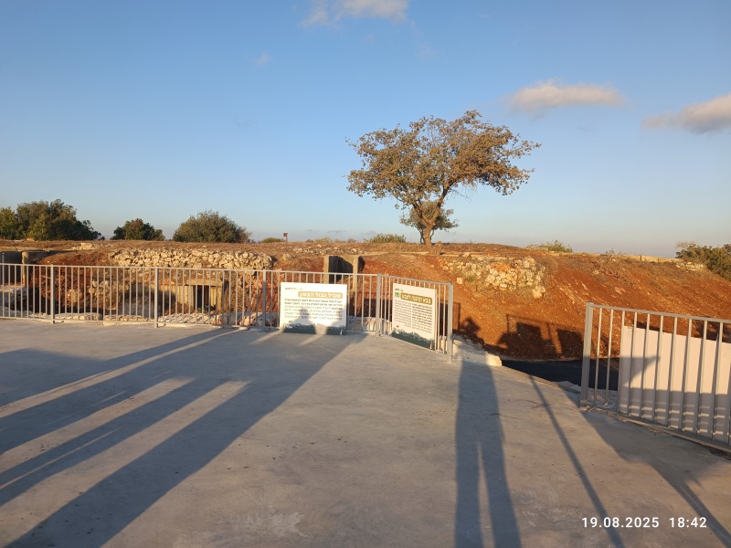 קובץ:2025-08-19T18 42 13.01385251503.jpg