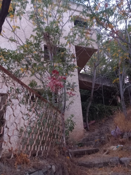 קובץ:2025-08-19T19 32 50.355986879959.jpg