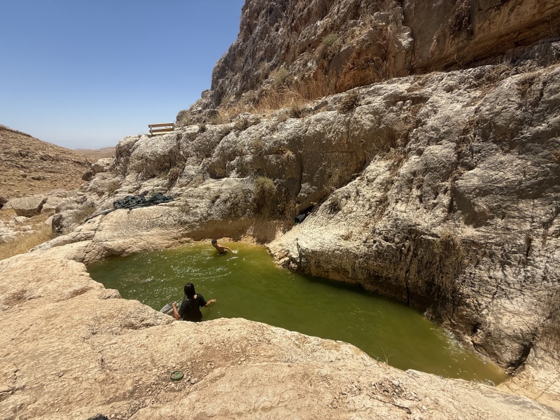 קובץ:2025-08-19T21 04 45.944848515495.jpg
