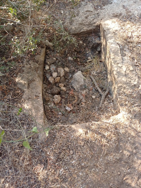 קובץ:2025-08-20T07 56 32.914285376527.jpg