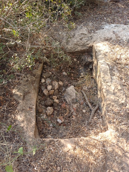קובץ:2025-08-20T07 56 49.495401148676.jpg