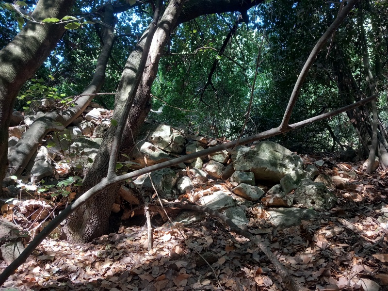 קובץ:2025-08-20T09 33 37.32705778663.jpg
