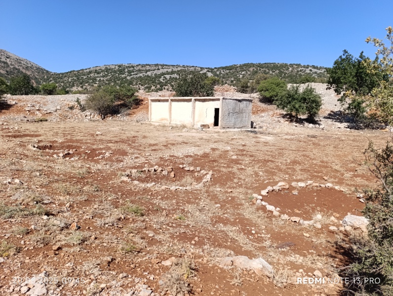קובץ:2025-08-20T09 45 16.538117269350.jpg