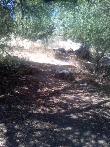 קובץ:2025-08-20T12 02 18.920509147619.jpg