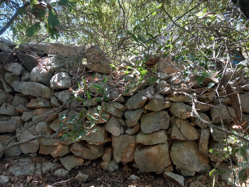 קובץ:2025-08-20T13 44 50.865783537415.jpg