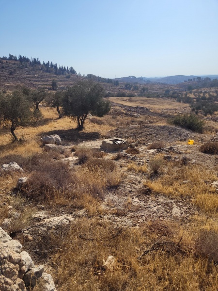 קובץ:2025-08-20T17 05 22.817655518500.jpg