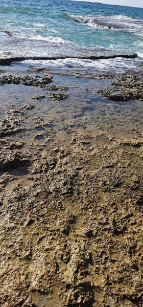 קובץ:2025-08-20T17 13 02.960371950640.jpg