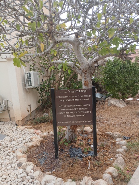 קובץ:2025-08-21T08 50 45.598221809231.jpg