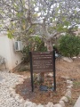 תמונה ממוזערת לגרסה מתאריך 05:24, 21 באוגוסט 2025