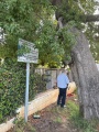 תמונה ממוזערת לגרסה מתאריך 15:10, 21 באוגוסט 2025
