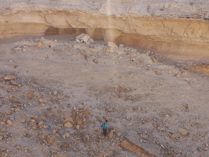 קובץ:2025-08-22T08 46 26.302120435029.jpg