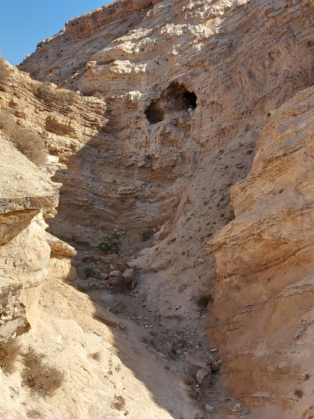 קובץ:2025-08-22T08 46 48.92384869442.jpg