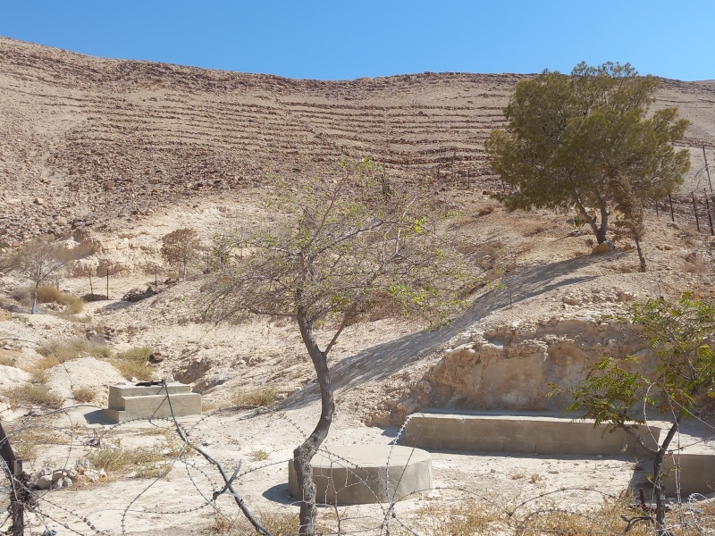 קובץ:2025-08-22T10 05 14.219670498456.jpg