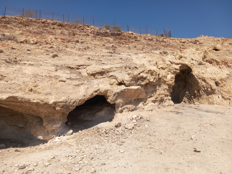 קובץ:2025-08-22T10 19 11.823770316862.jpg