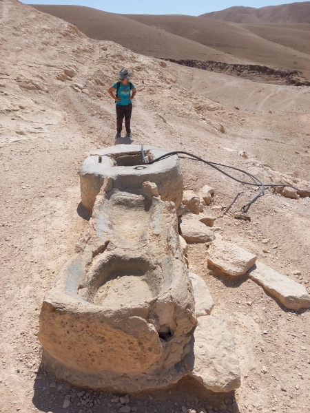 קובץ:2025-08-22T10 42 43.798384161341.jpg