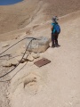 תמונה ממוזערת לגרסה מתאריך 15:00, 22 באוגוסט 2025