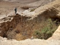תמונה ממוזערת לגרסה מתאריך 15:21, 22 באוגוסט 2025
