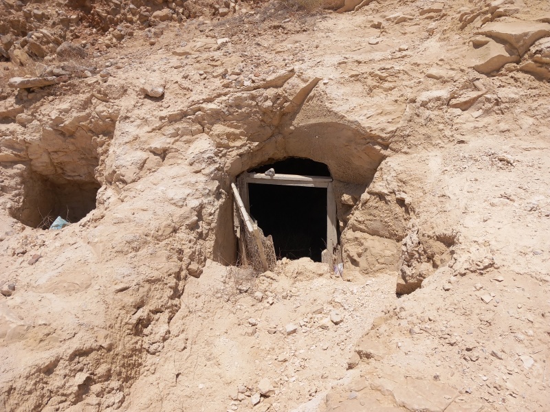 קובץ:2025-08-22T12 14 49.658559406141.jpg