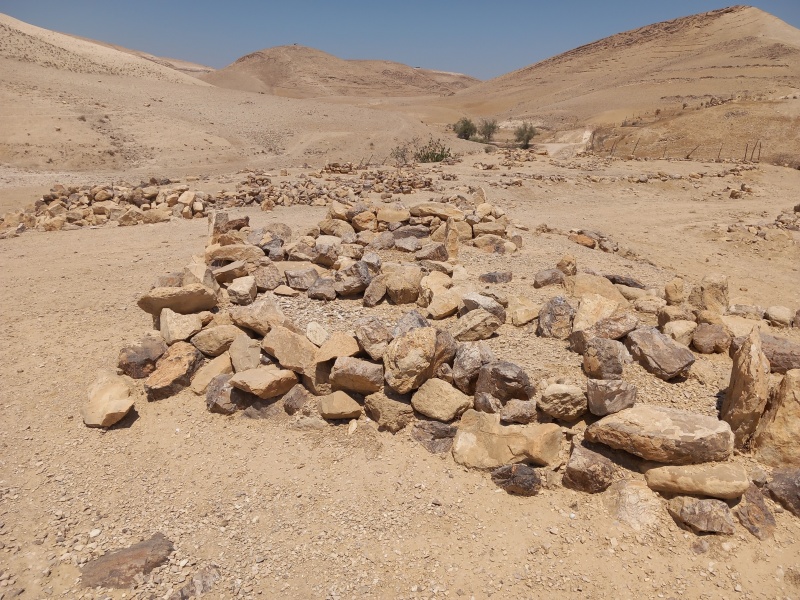 קובץ:2025-08-22T12 22 14.780537529234.jpg