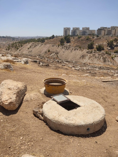 קובץ:2025-08-22T15 58 46.626652490711.jpg