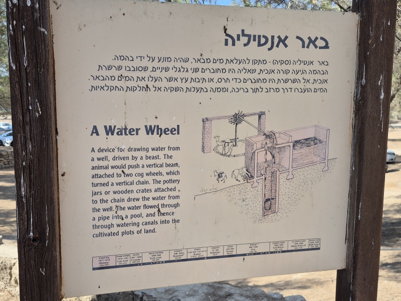 קובץ:2025-08-22T16 01 40.998637624411.jpg