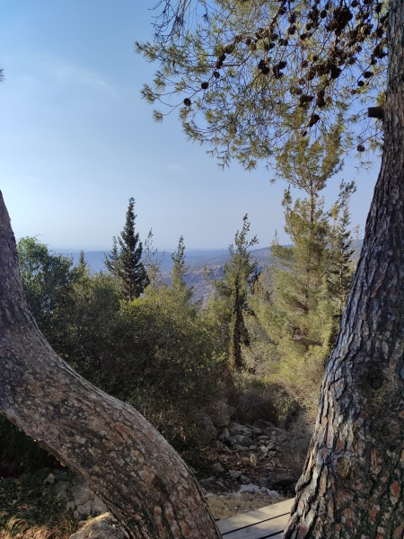 קובץ:2025-08-22T17 31 31.635214356029.jpg