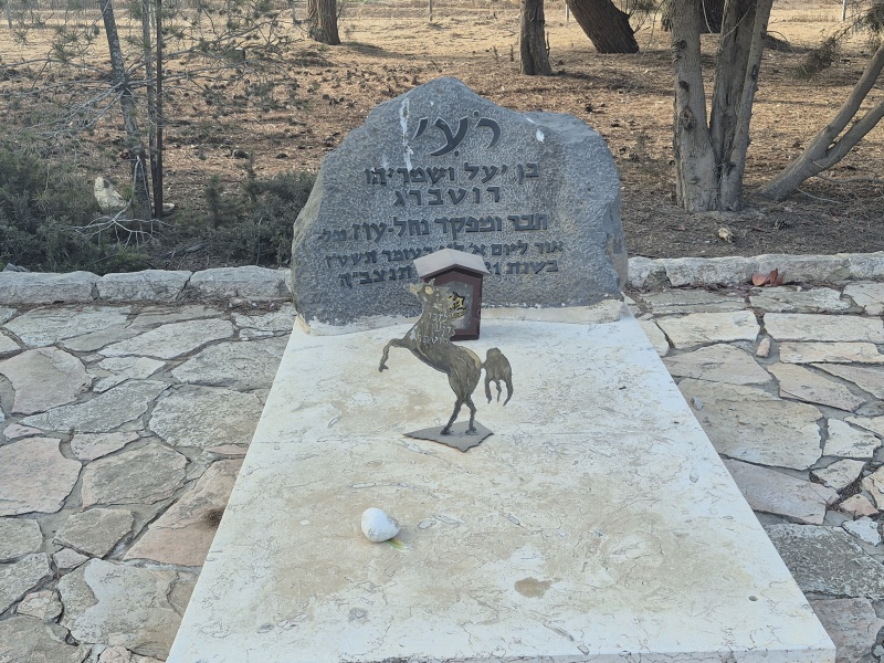 קובץ:2025-08-23T08 19 12.204354304506.jpg