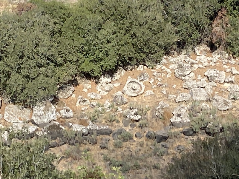 קובץ:2025-08-23T09 18 37.092596597906.jpg
