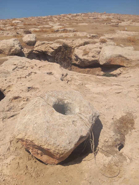 קובץ:2025-08-23T11 44 47.843987790524.jpg
