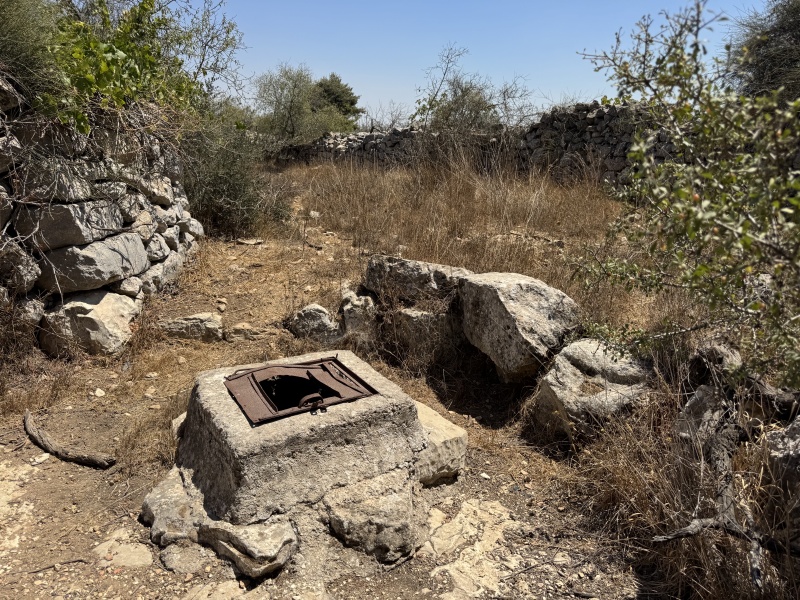 קובץ:2025-08-23T13 27 28.782029647485.jpg