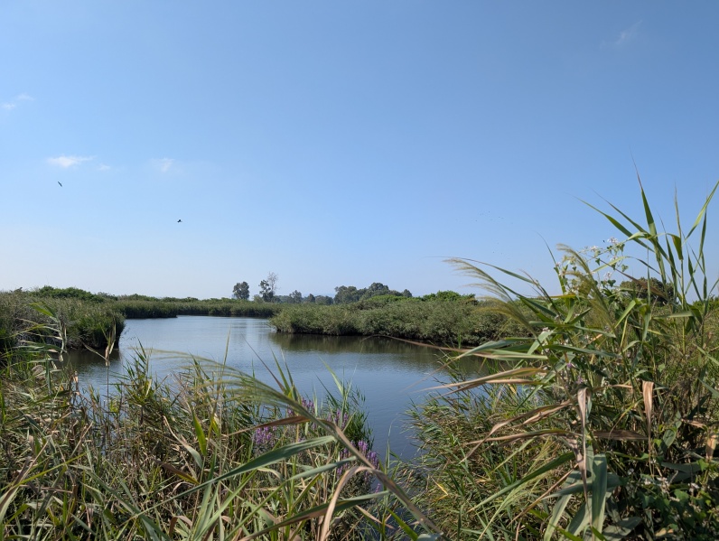 קובץ:2025-08-23T17 21 49.627113742919.jpg
