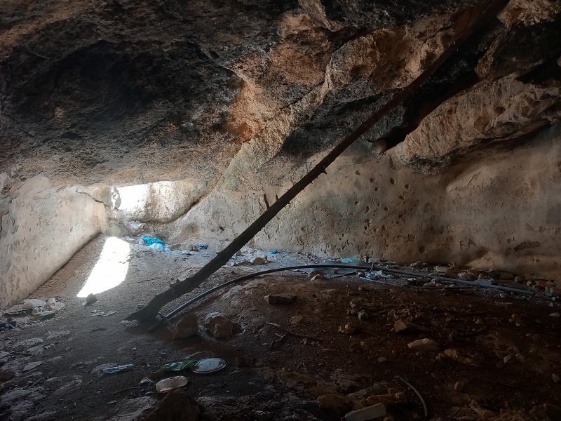 קובץ:2025-08-24T09 52 04.969721170893.jpg