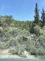 תמונה ממוזערת לגרסה מתאריך 08:27, 24 באוגוסט 2025