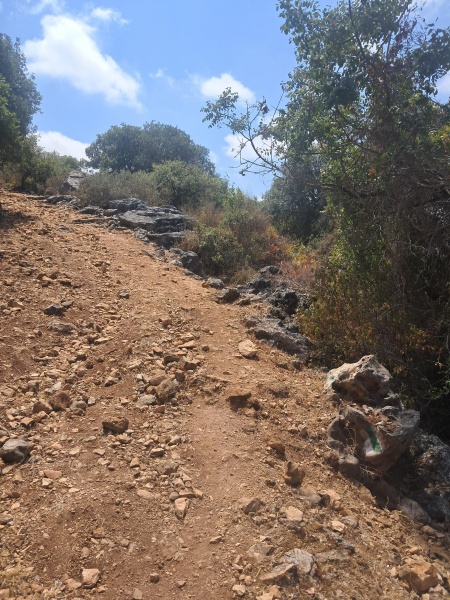 קובץ:2025-08-24T13 20 15.754781440239.jpg