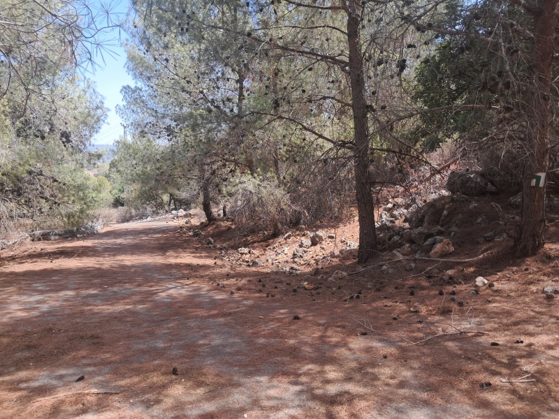 קובץ:2025-08-24T13 32 09.422904380180.jpg