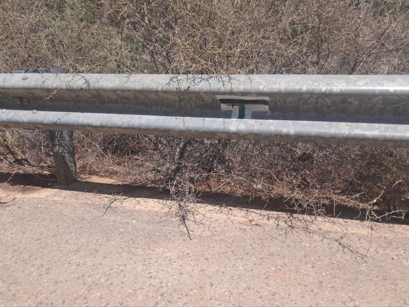 קובץ:2025-08-24T13 37 28.360537480347.jpg