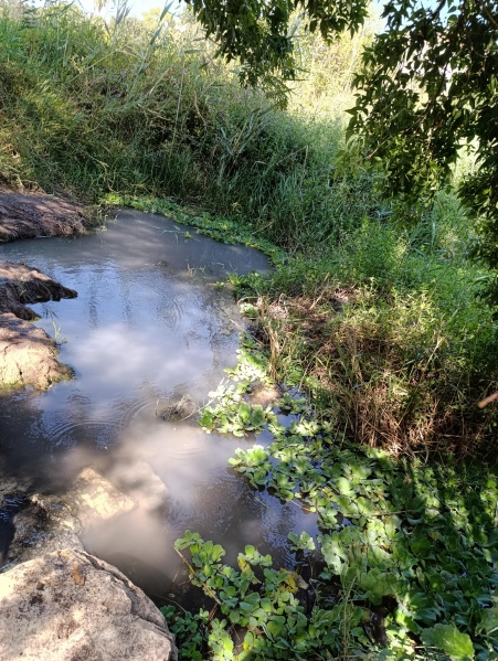 קובץ:2025-08-24T15 22 20.693125926732.jpg