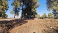 תמונה ממוזערת לגרסה מתאריך 14:07, 24 באוגוסט 2025