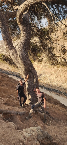קובץ:2025-08-24T18 09 38.701066470832.jpg