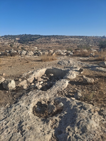 קובץ:2025-08-24T21 03 27.625113224903.jpg