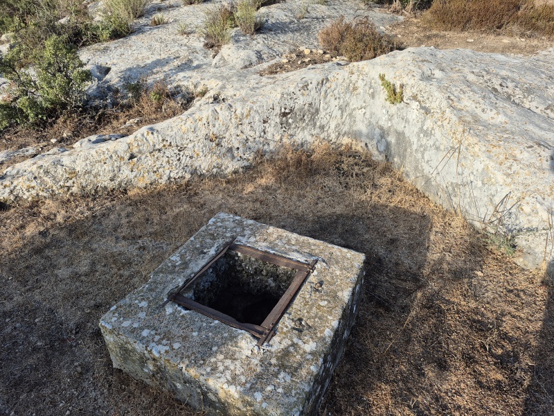 קובץ:2025-08-25T07 28 08.943950379417.jpg